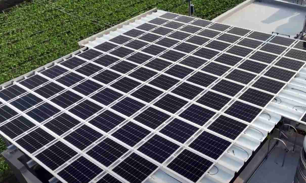 z6尊龙SunSteel光电浪板升级双玻结构，，，以提升机械负载强度及气候耐候度，，可广泛运用于多元场域